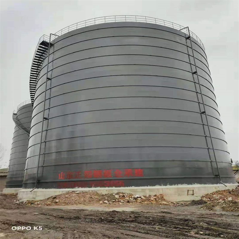 博鳌镇3万吨大型钢板库