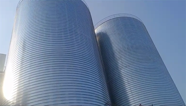 博鳌镇2座混凝土高架卷板仓